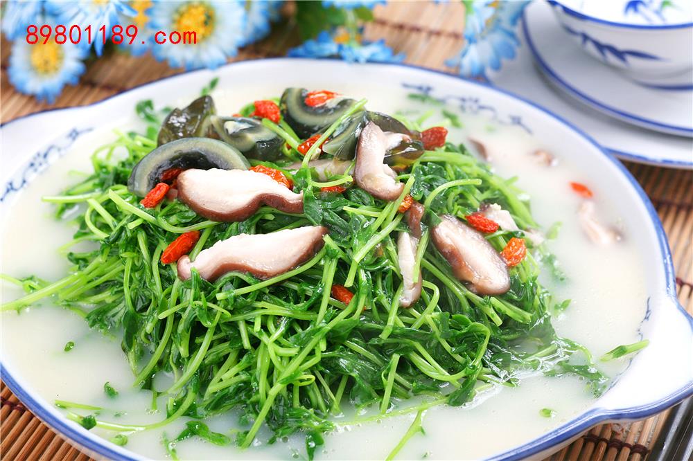 上汤豆苗