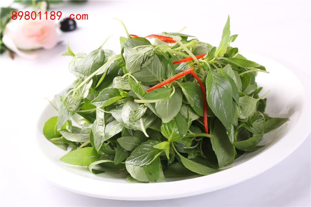 三丝荆芥