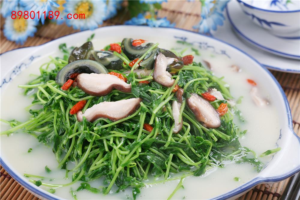 上汤豆苗