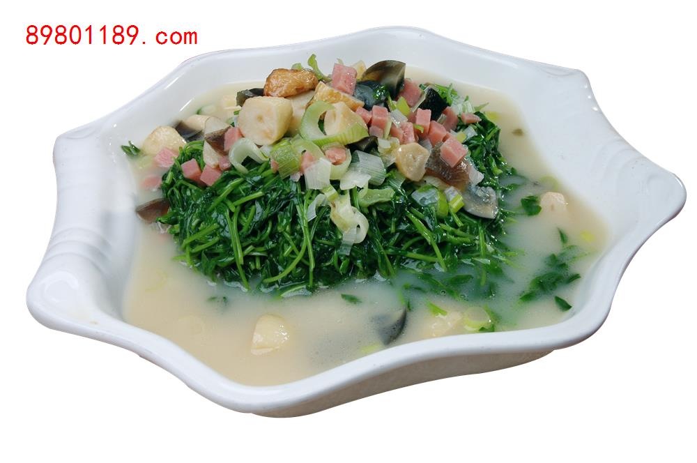 上汤豆苗