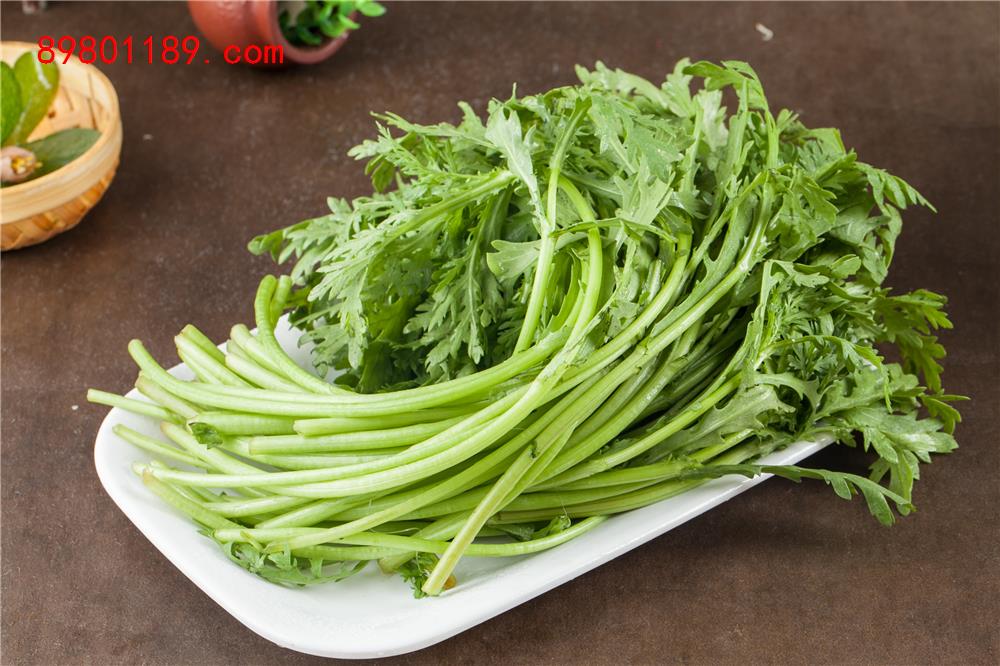 东北茼蒿-