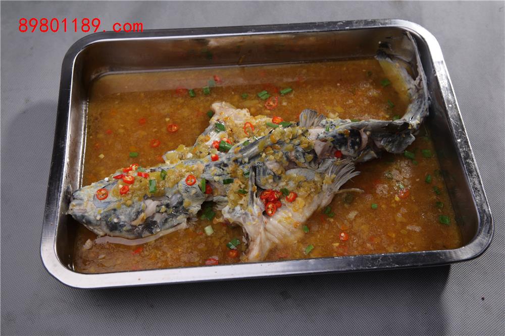 回头鱼