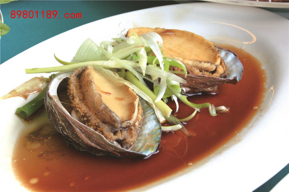 大连鲍