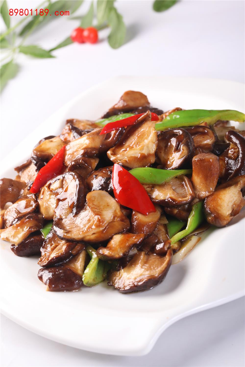 小炒鲜香菇