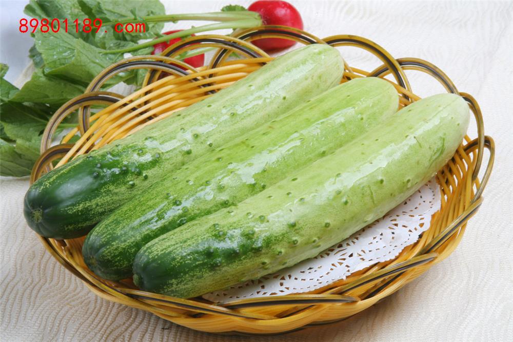 旱黄瓜