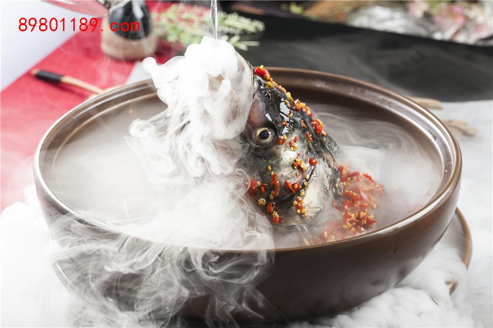 江东水库鱼头王-