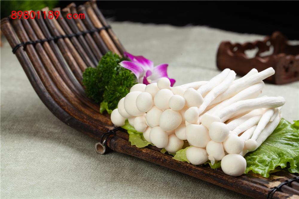 海鲜菇