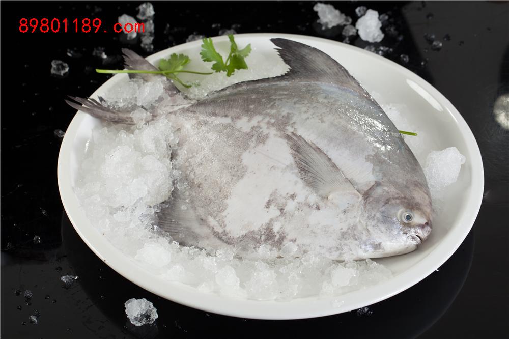 深海大斗炝鱼