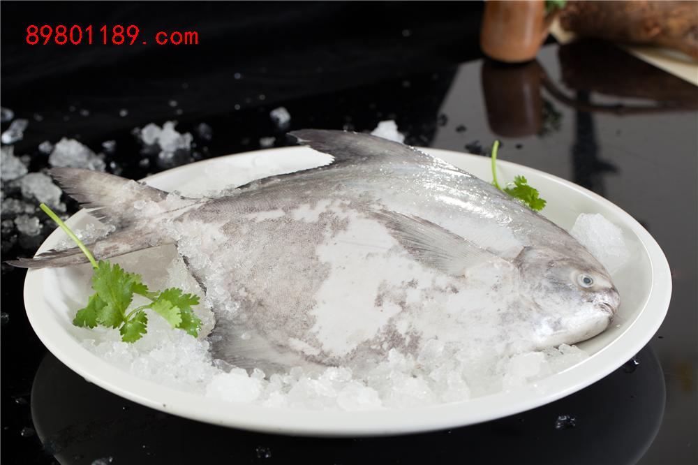 深海大斗炝鱼