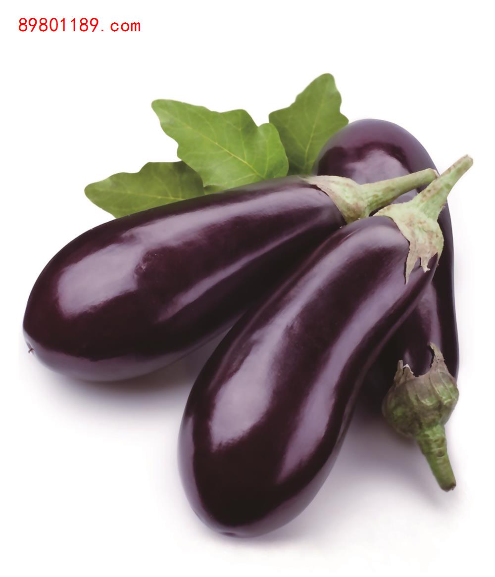 生茄子