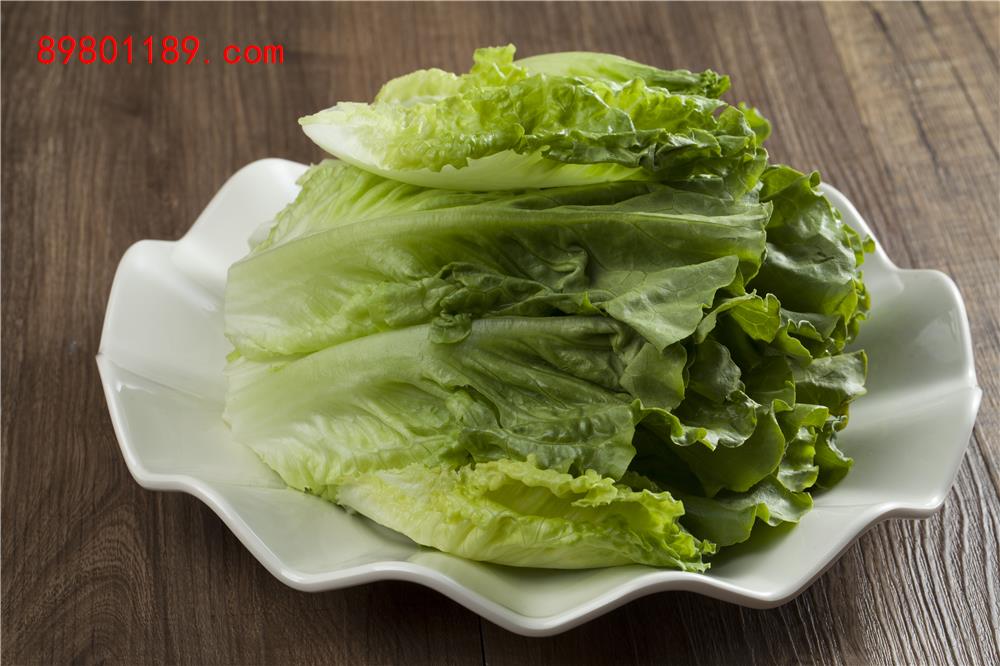 生菜