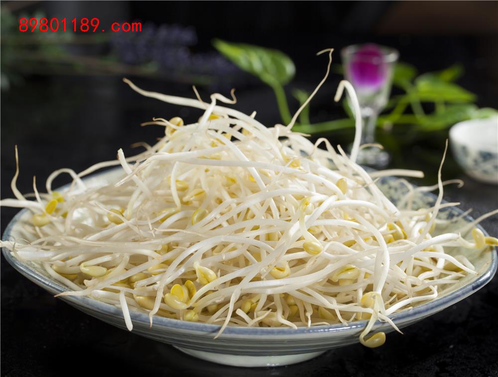 豆芽