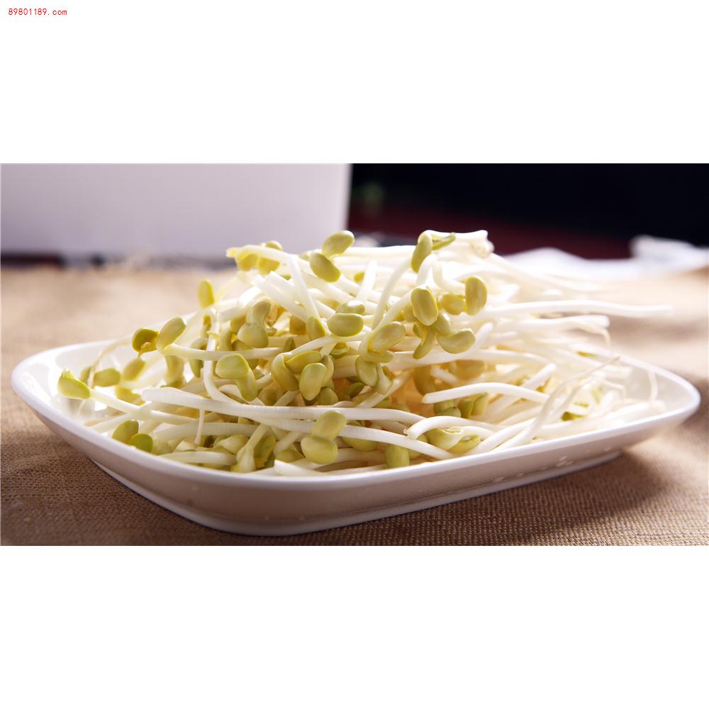 豆芽