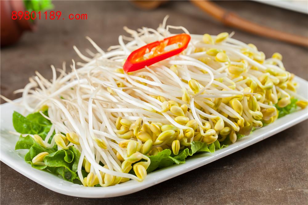黄豆芽-