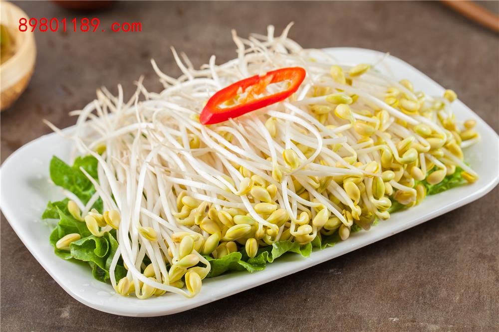 黄豆芽-