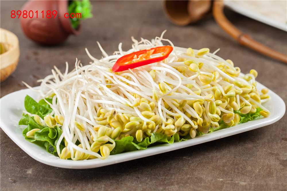 黄豆芽-